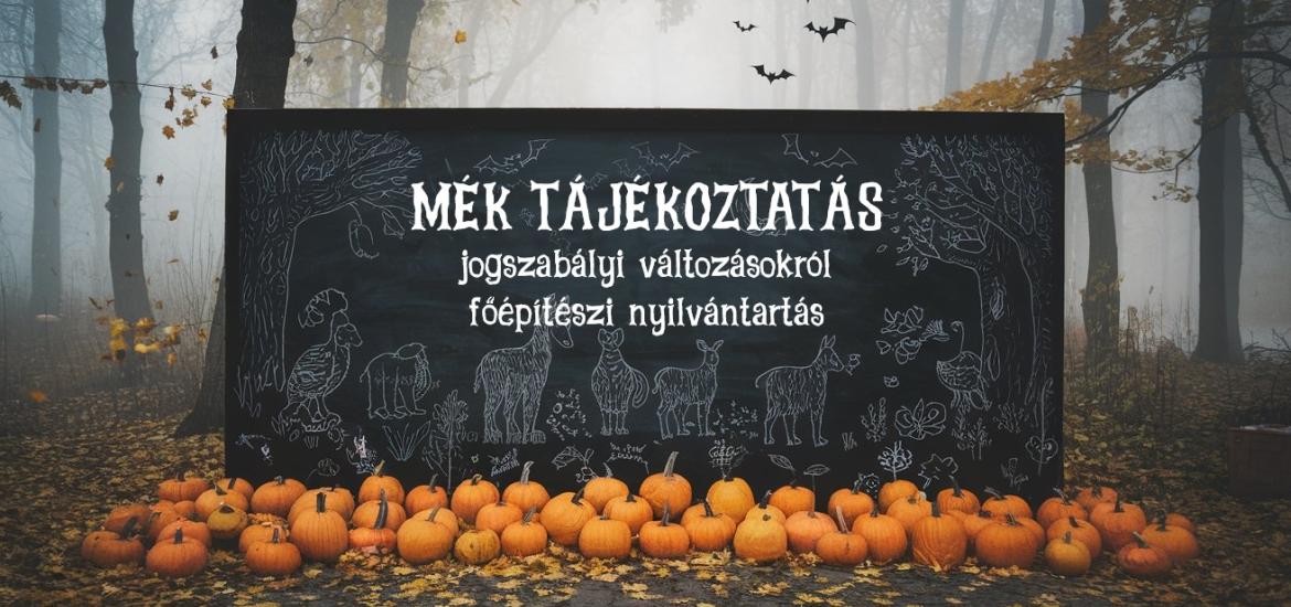 MÉK tájékoztatás szöveg