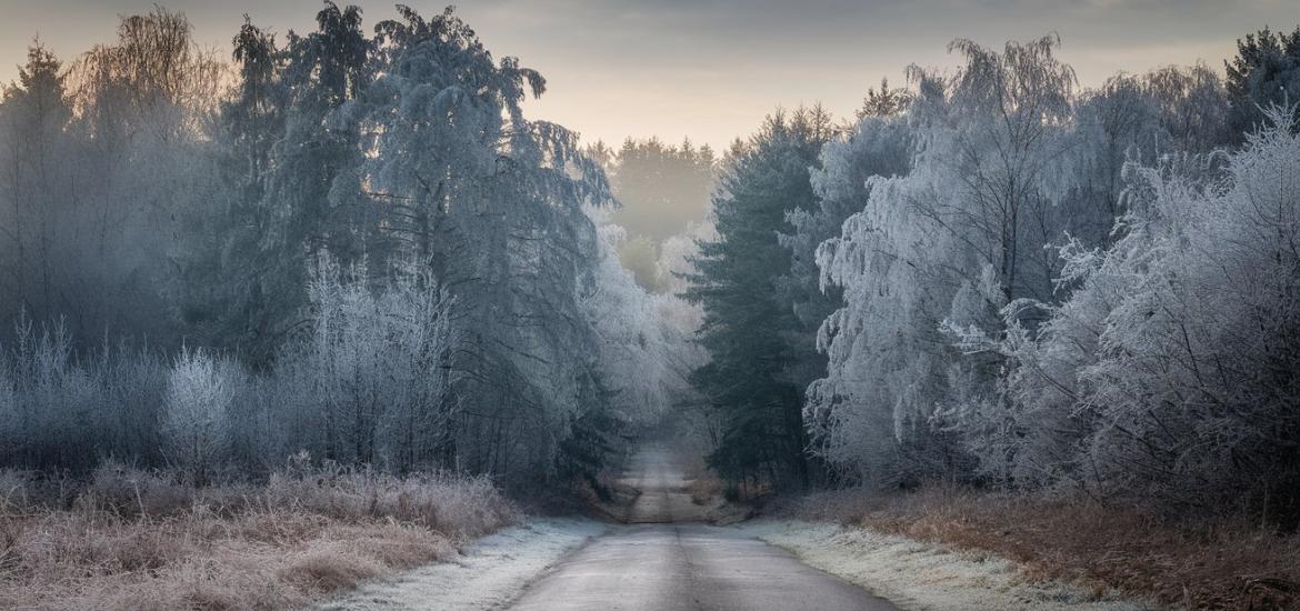 deres erdő magányos úttal