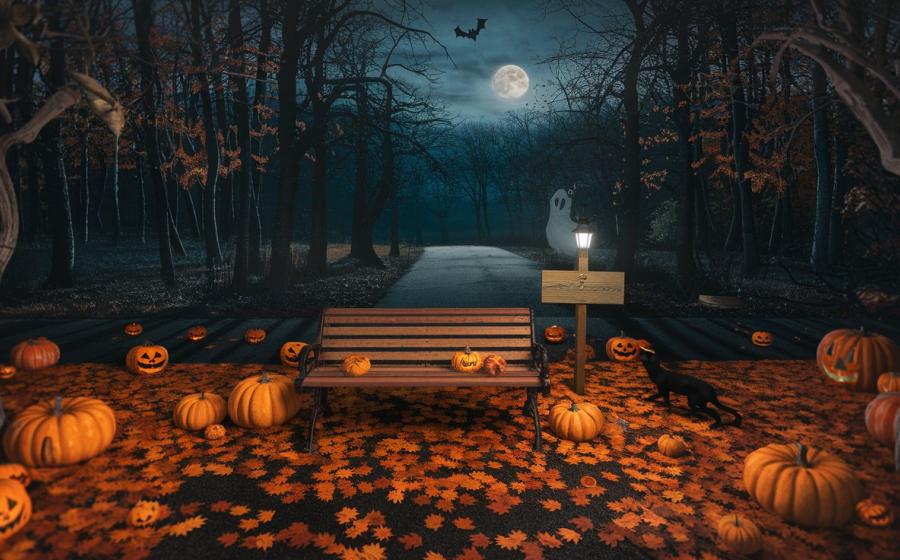 tökös őszi este paddal